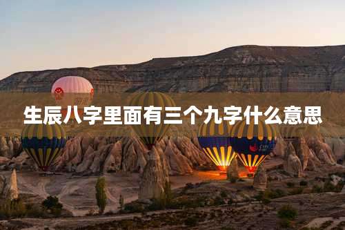 生辰八字里面有三个九字什么意思