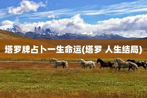 塔罗牌占卜一生命运(塔罗 人生结局)