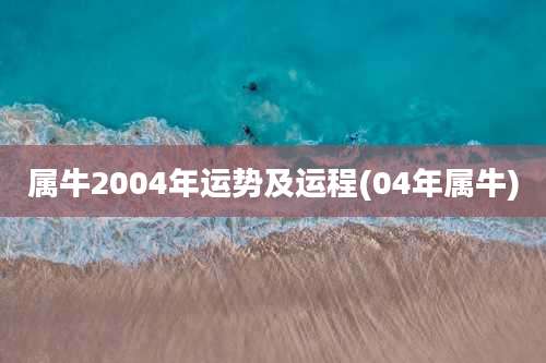 属牛2004年运势及运程(04年属牛)