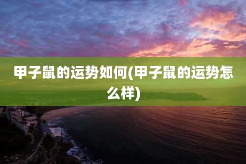 甲子鼠的运势如何(甲子鼠的运势怎么样)