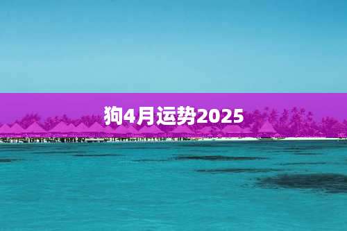 狗4月运势2025