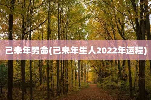 己未年男命(己未年生人2022年运程)