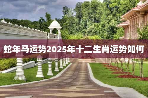 蛇年马运势2025年十二生肖运势如何