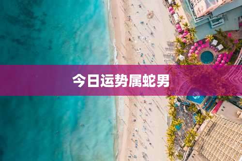 今日运势属蛇男