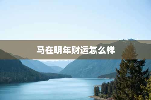 马在明年财运怎么样