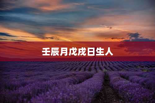 壬辰月戊戌日生人