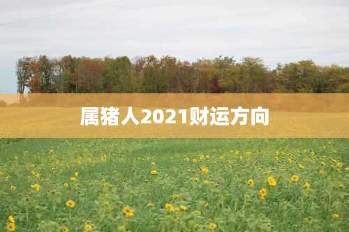 属猪人2021财运方向