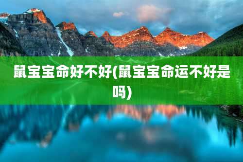 鼠宝宝命好不好(鼠宝宝命运不好是吗)