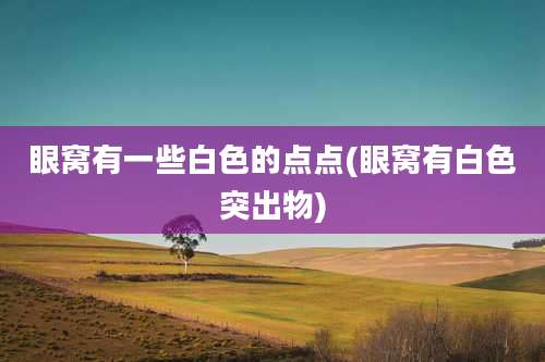 眼窝有一些白色的点点(眼窝有白色突出物)