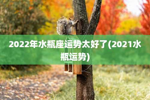2022年水瓶座运势太好了(2021水瓶运势)