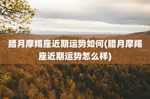 腊月摩羯座近期运势如何(腊月摩羯座近期运势怎么样)