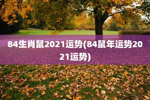 84生肖鼠2021运势(84鼠年运势2021运势)