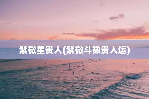 紫微星贵人(紫微斗数贵人运)