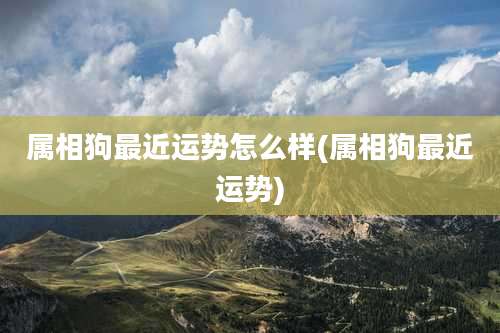 属相狗最近运势怎么样(属相狗最近运势)