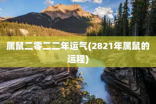 属鼠二零二二年运气(2821年属鼠的运程)