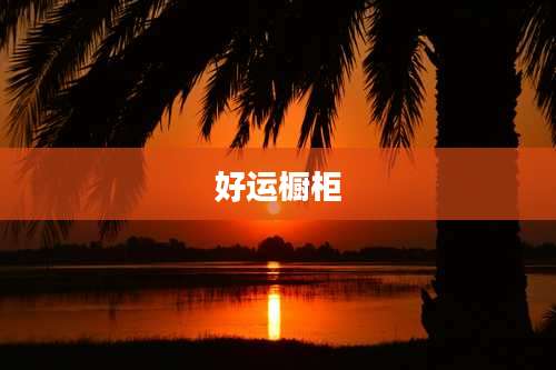 好运橱柜