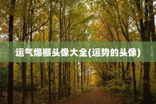 运气爆棚头像大全(运势的头像)