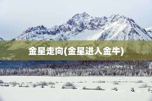 金星走向(金星进入金牛)