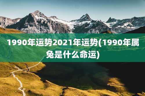1990年运势2021年运势(1990年属兔是什么命运)