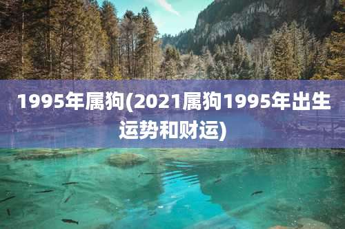 1995年属狗(2021属狗1995年出生运势和财运)