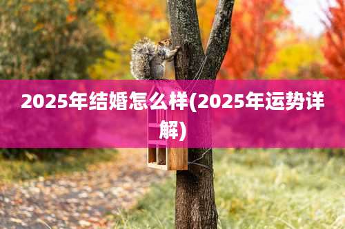 2025年结婚怎么样(2025年运势详解)