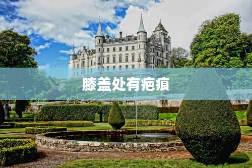 膝盖处有疤痕