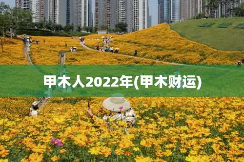 甲木人2022年(甲木财运)