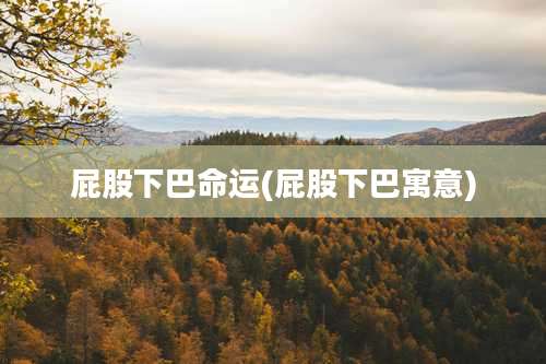 屁股下巴命运(屁股下巴寓意)