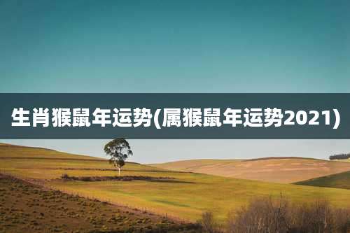 生肖猴鼠年运势(属猴鼠年运势2021)