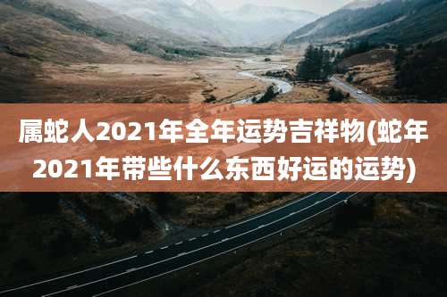 属蛇人2021年全年运势吉祥物(蛇年2021年带些什么东西好运的运势)