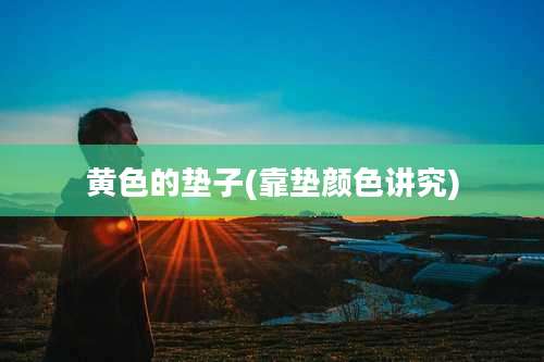 黄色的垫子(靠垫颜色讲究)