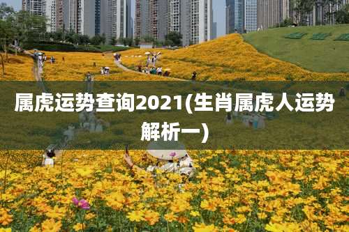 属虎运势查询2021(生肖属虎人运势解析一)