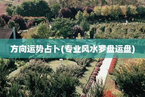 方向运势占卜(专业风水罗盘运盘)