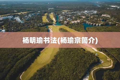 杨明瑜书法(杨瑜宗简介)