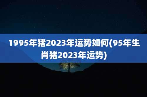 1995年猪2023年运势如何(95年生肖猪2023年运势)