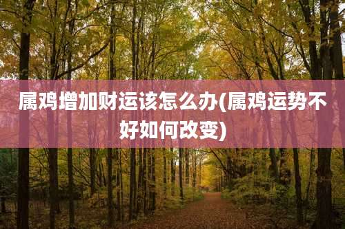 属鸡增加财运该怎么办(属鸡运势不好如何改变)