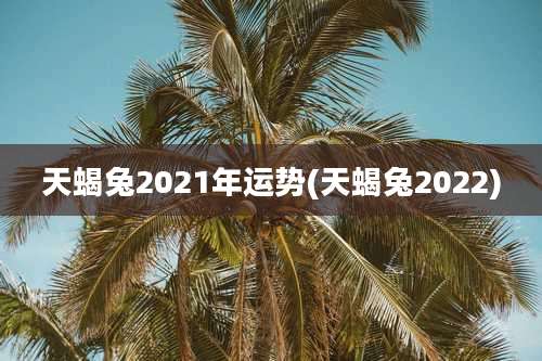 天蝎兔2021年运势(天蝎兔2022)