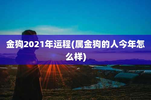 金狗2021年运程(属金狗的人今年怎么样)