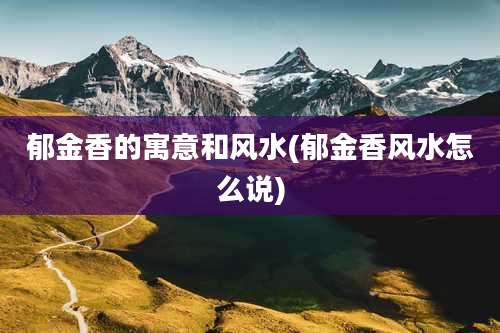 郁金香的寓意和风水(郁金香风水怎么说)