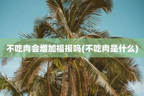 不吃肉会增加福报吗(不吃肉是什么)