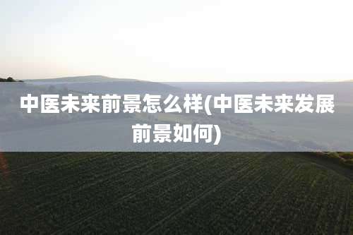 中医未来前景怎么样(中医未来发展前景如何)
