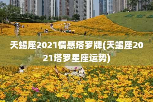 天蝎座2021情感塔罗牌(天蝎座2021塔罗星座运势)