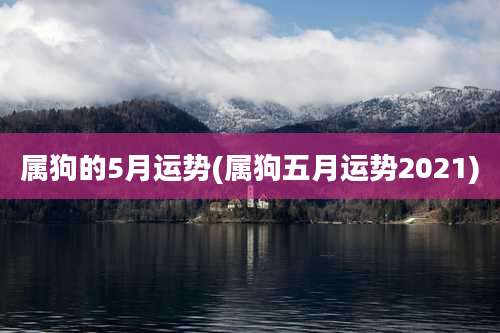 属狗的5月运势(属狗五月运势2021)