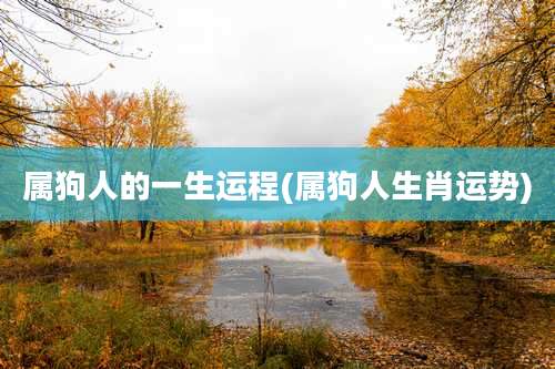 属狗人的一生运程(属狗人生肖运势)