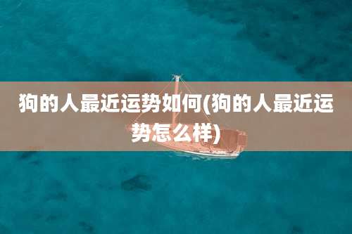 狗的人最近运势如何(狗的人最近运势怎么样)