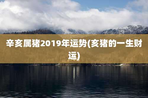 辛亥属猪2019年运势(亥猪的一生财运)