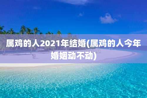 属鸡的人2021年结婚(属鸡的人今年婚姻动不动)