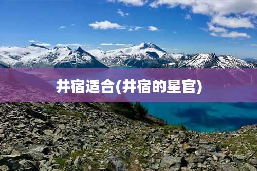 井宿适合(井宿的星官)