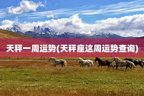 天秤一周运势(天秤座这周运势查询)