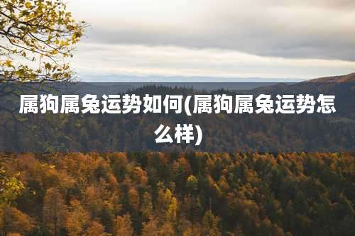 属狗属兔运势如何(属狗属兔运势怎么样)